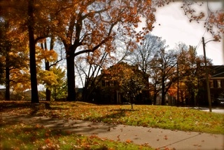 The Gratz Park Project, November 6, 2009, The Archive of Louis Zoellar Bickett