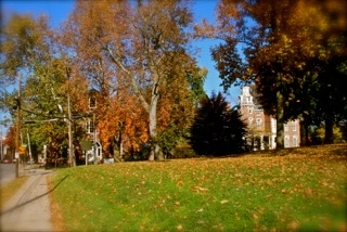 The Gratz Park Project, November 6, 2009, The Archive of Louis Zoellar Bickett