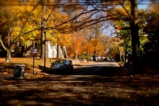 The Gratz Park Project, November 6, 2009, The Archive of Louis Zoellar Bickett