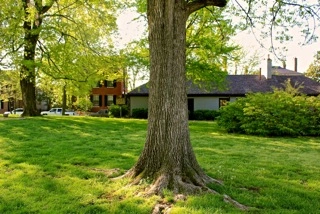 The Gratz Park Project, April 30, 2013, The Archive of Louis Zoellar Bickett