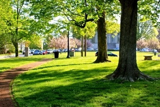The Gratz Park Project, April 30, 2013, The Archive of Louis Zoellar Bickett