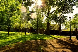 The Gratz Park Project, April 30, 2013, The Archive of Louis Zoellar Bickett