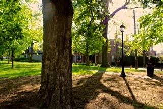 The Gratz Park Project, April 30, 2013, The Archive of Louis Zoellar Bickett