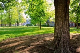 The Gratz Park Project, April 30, 2013, The Archive of Louis Zoellar Bickett