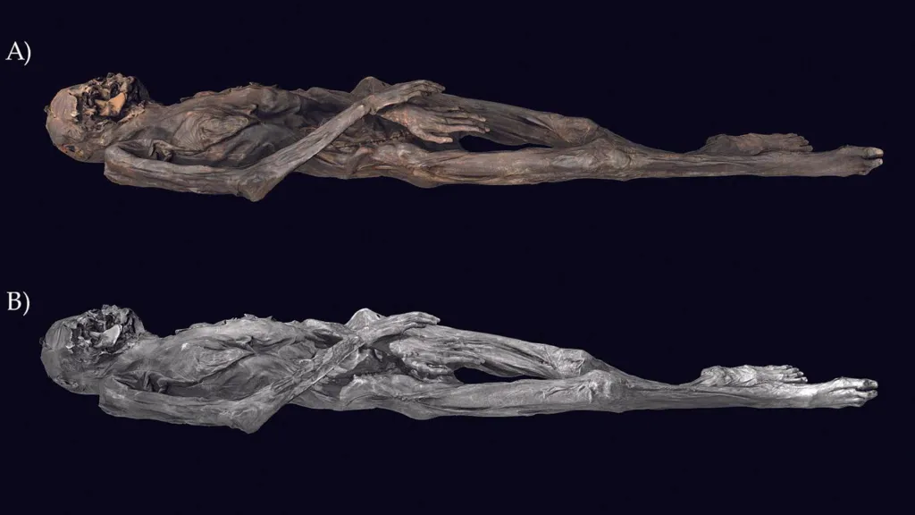 Several ice mummies were found in the Altai mountains and they are currently kept at the Hermitage Museum in Russia