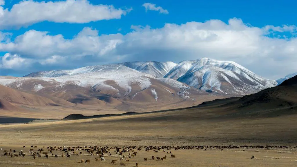 The Pazyryk were a nomadic group that lived in the Altai mountains