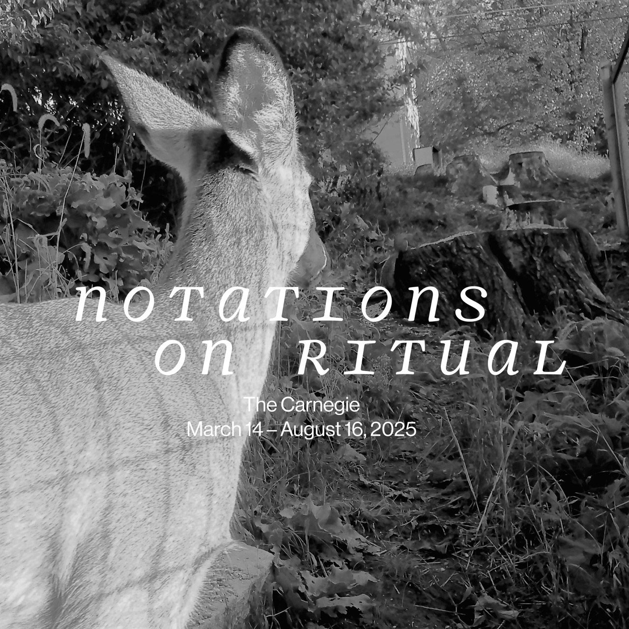 Photographic documentation courtesy of the artist