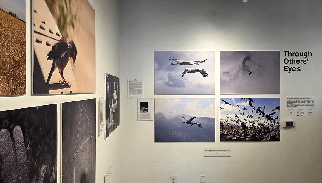 Pieces on Display. We have on this land which makes life worth living. Open to the public on September 10, 2025, at OMBRÉ Gallery, 1429 Vine Street, Cincinnati, OH.