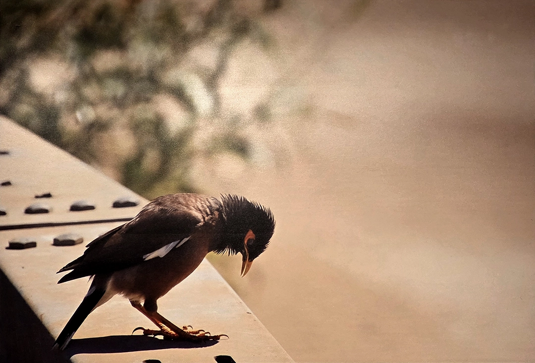 Pieces on Display. We have on this land which makes life worth living. Open to the public on September 10, 2025, at OMBRÉ Gallery, 1429 Vine Street, Cincinnati, OH.