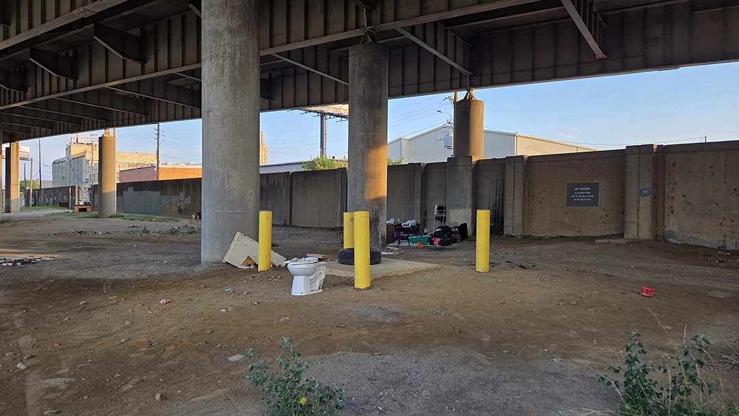 Withered Flowers by the River
