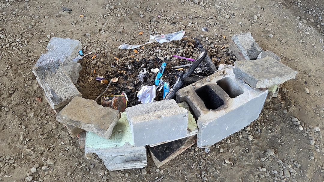 Withered Flowers by the River