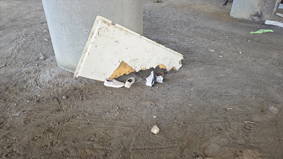 Withered Flowers by the River