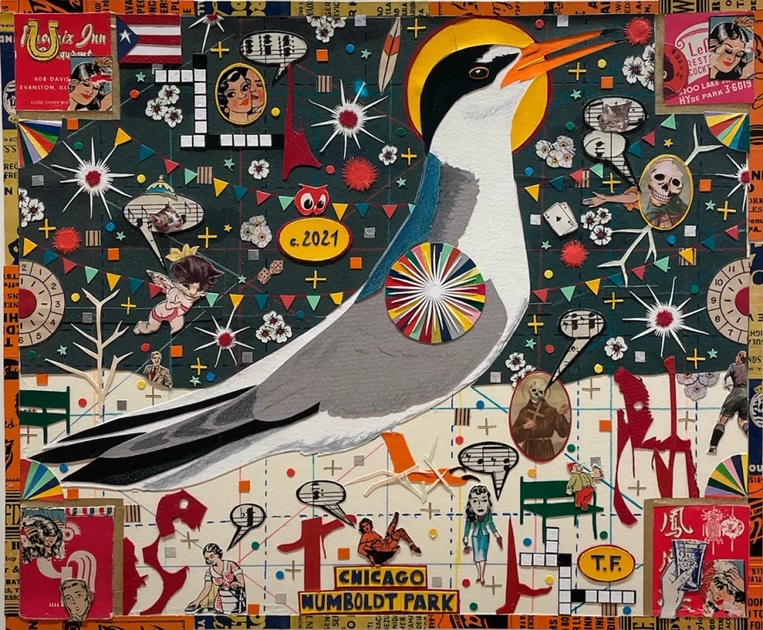 The Birds Fall Silent in Chicago