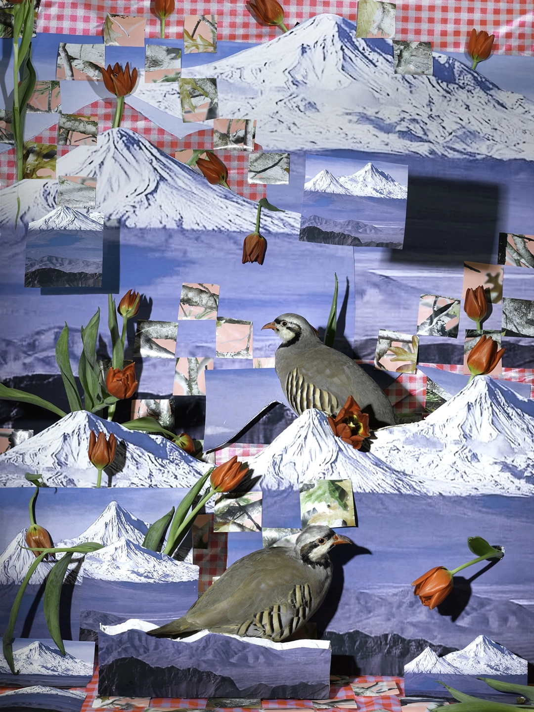 Sheida Soleimani’s Snakes and Ladders