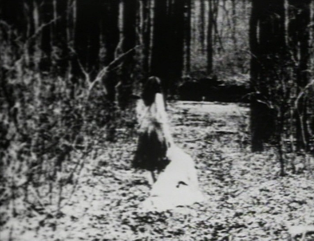 The Cathedral and the Wolf