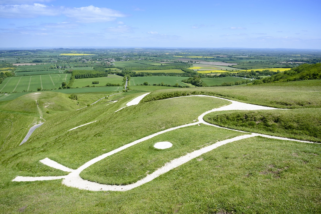 White Horse Hill. This prehistoric chalk white horse is oldest of several in the English countryside said to be 3000 years old. Here the head is in the foreground with Dragon Hill and the Vale of the White Horse in the background. By Johnny Greig