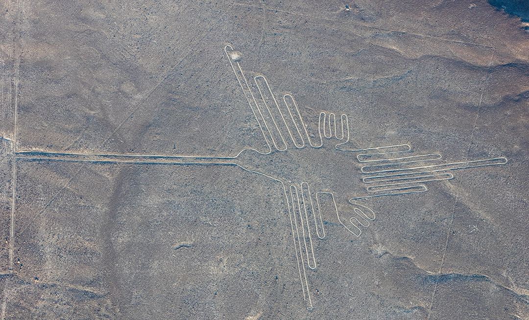 Hummingbird, Nazca