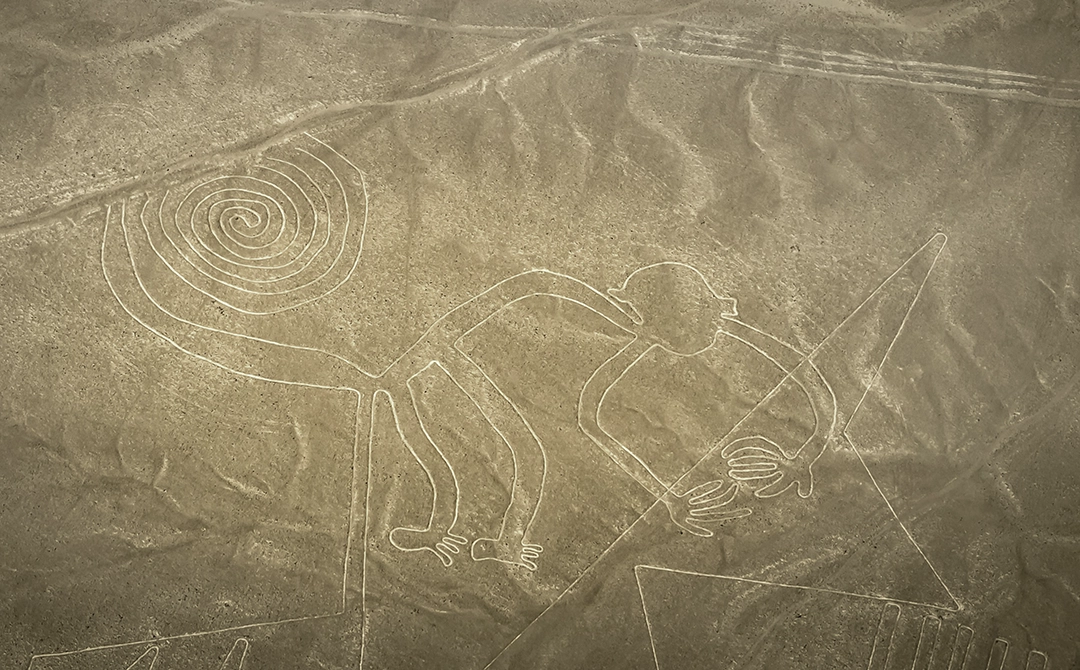 Monkey, Nazca