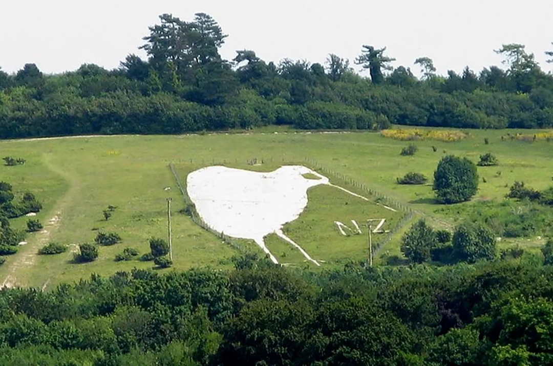 The Bulford kiwi photographed in 2013, following restoration and maintenance by a local scout group.