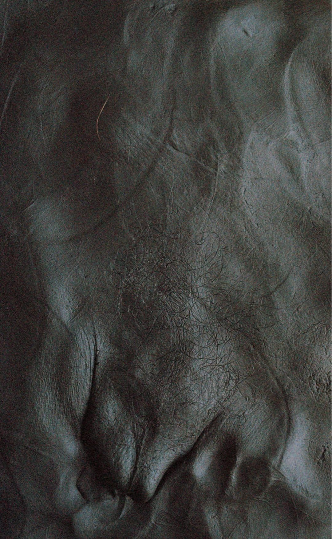 All images have been taken from the Fall 2025 issue of The Paris Review and from various sources on the internet.