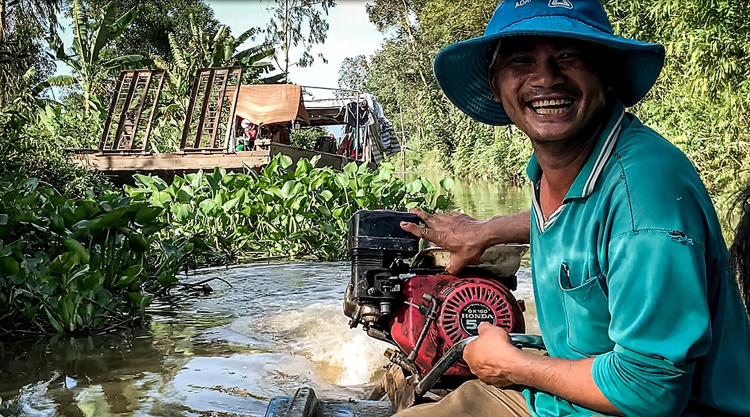 The Fish in the New Pond