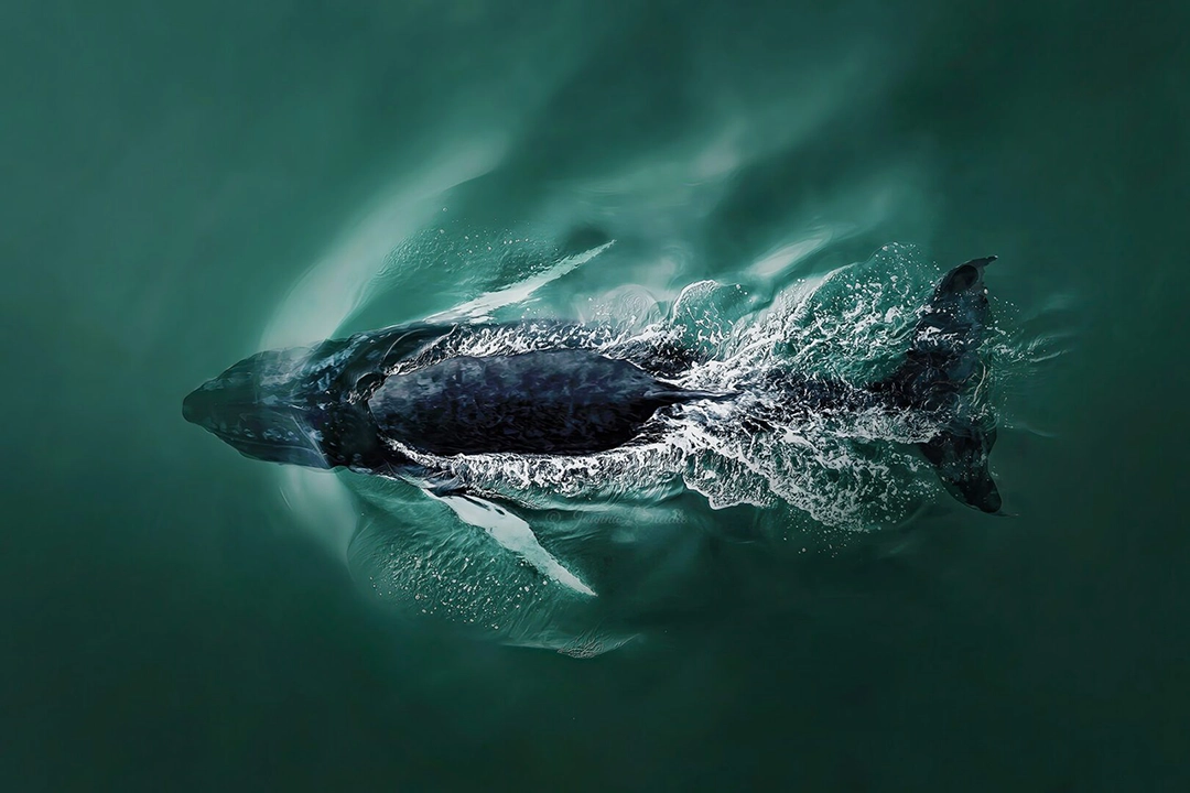 From Australia, the First Edition of the Aerial Photographer of the Year