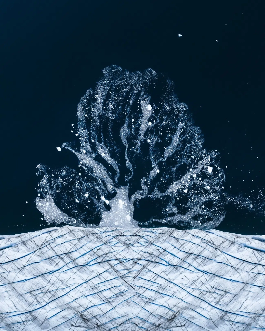Tree of Ice by Talor Stone, United States. 2025 IAPOTY, Runner-Up. An aerial perspective of glacial calving reveals an unexpected organic pattern in the water.