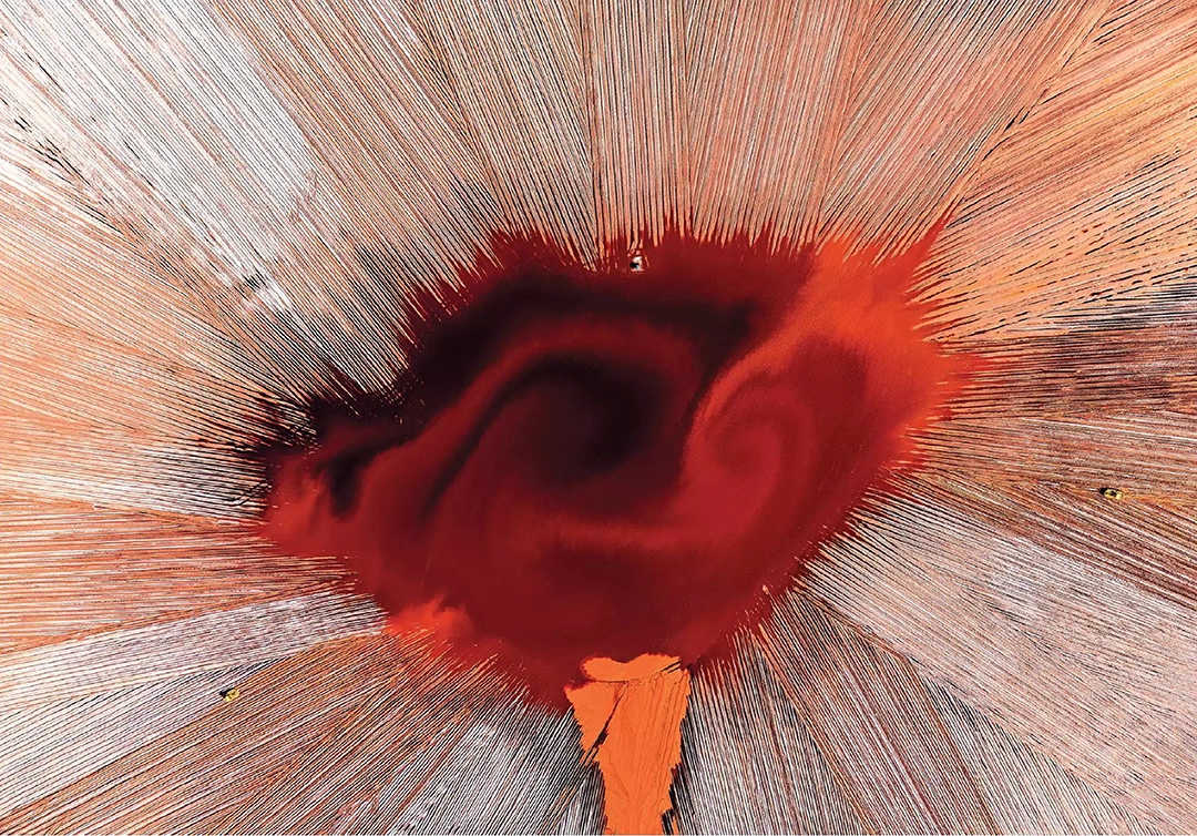 Twisted Owl by Colin Leonhardt (Australia), winner of IAPOTY Abstract Award.