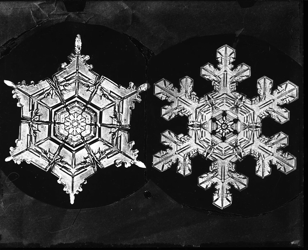 Frozen Hands, a Burning Hear