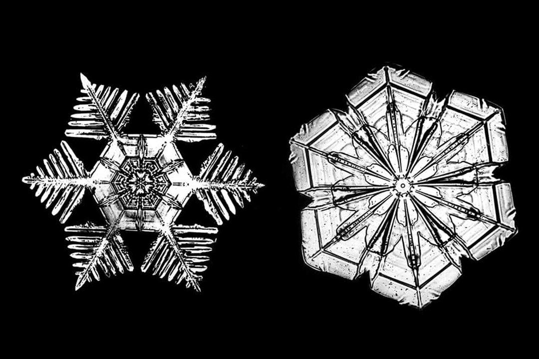 Frozen Hands, a Burning Hear