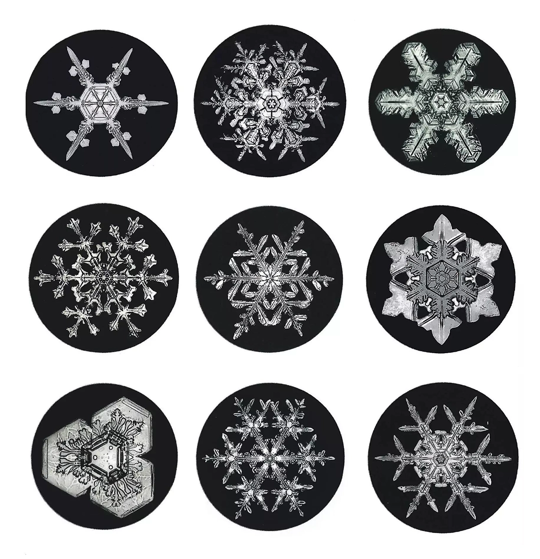 Frozen Hands, a Burning Hear