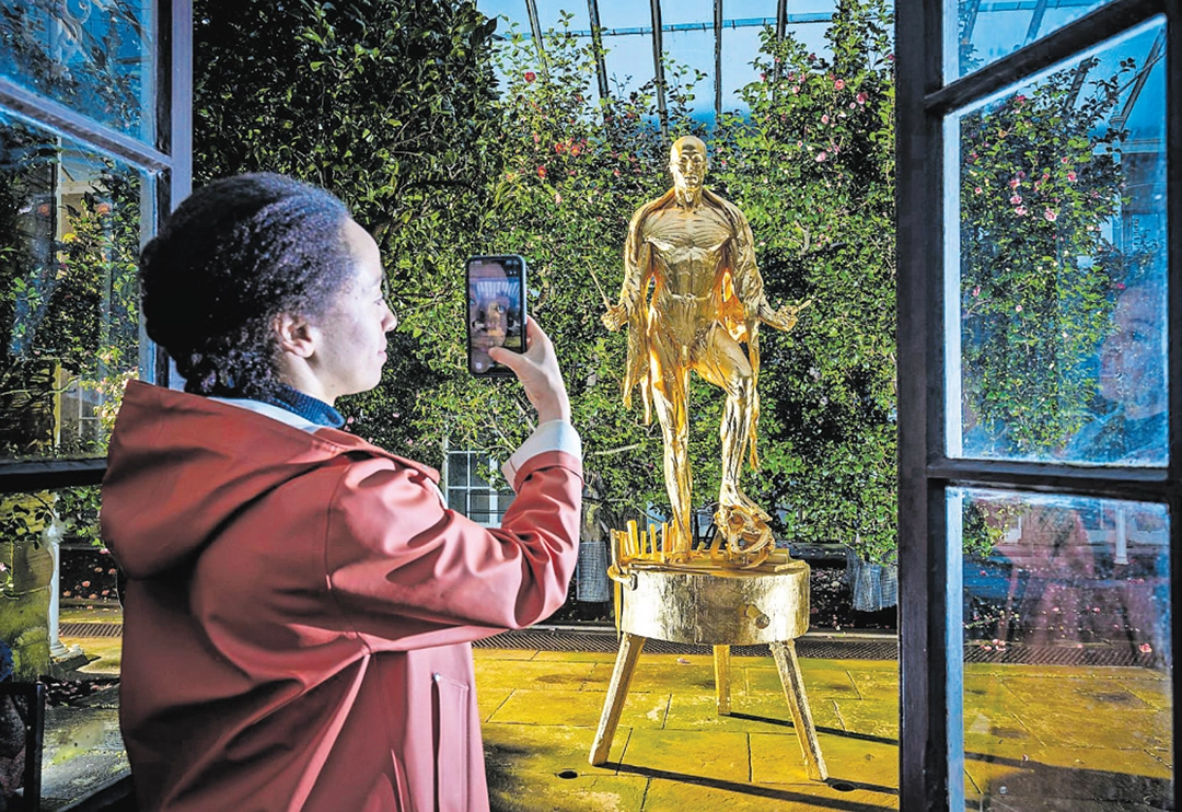 Damien Hirst, the body, and tormented naïveté