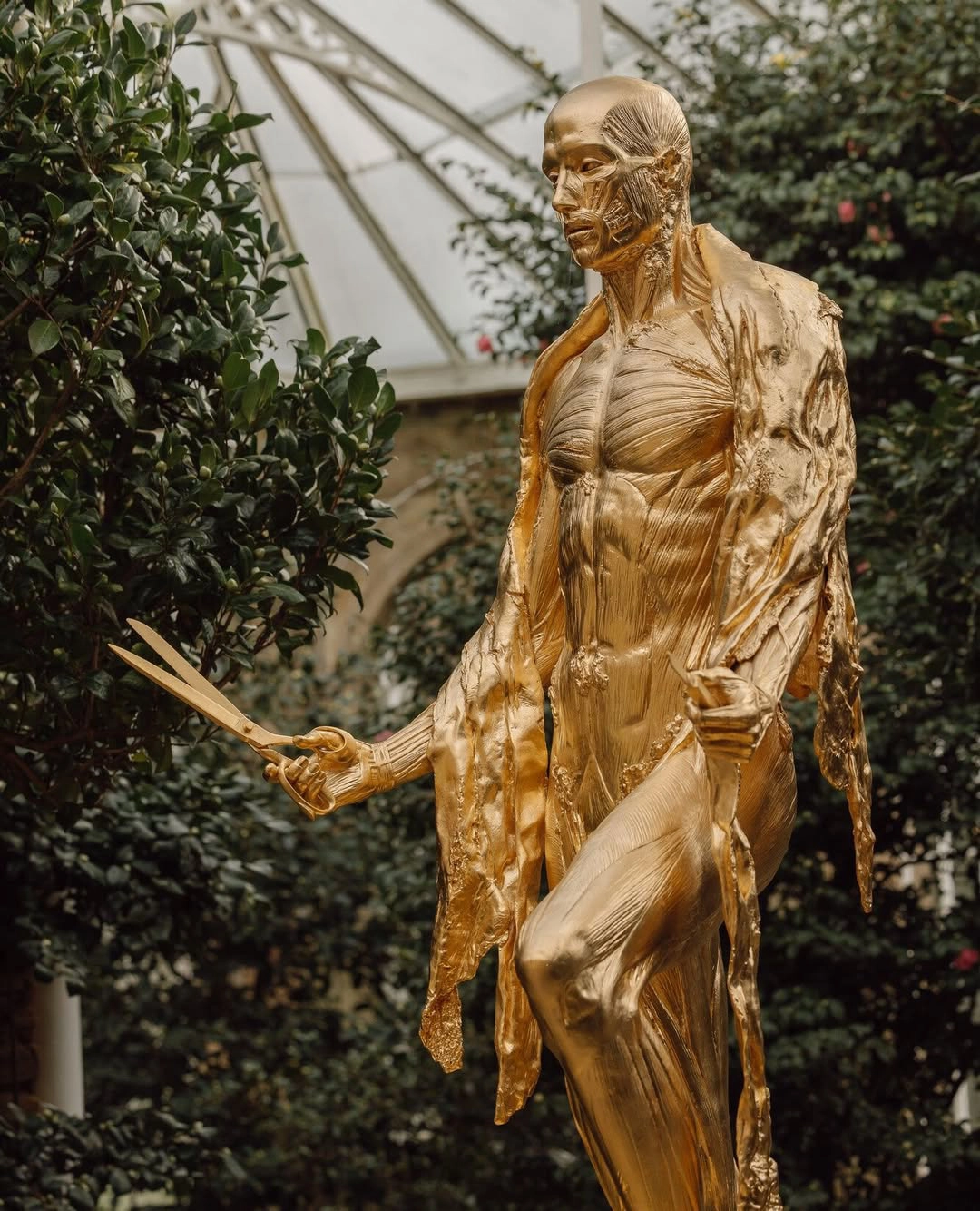 Damien Hirst, the body, and tormented naïveté