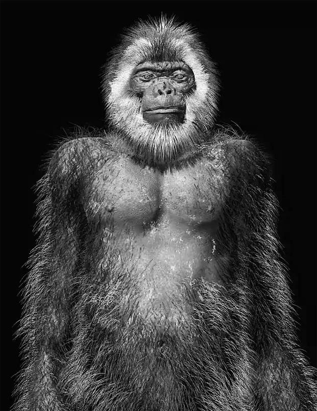 Michelangelo and the Weight of Containment