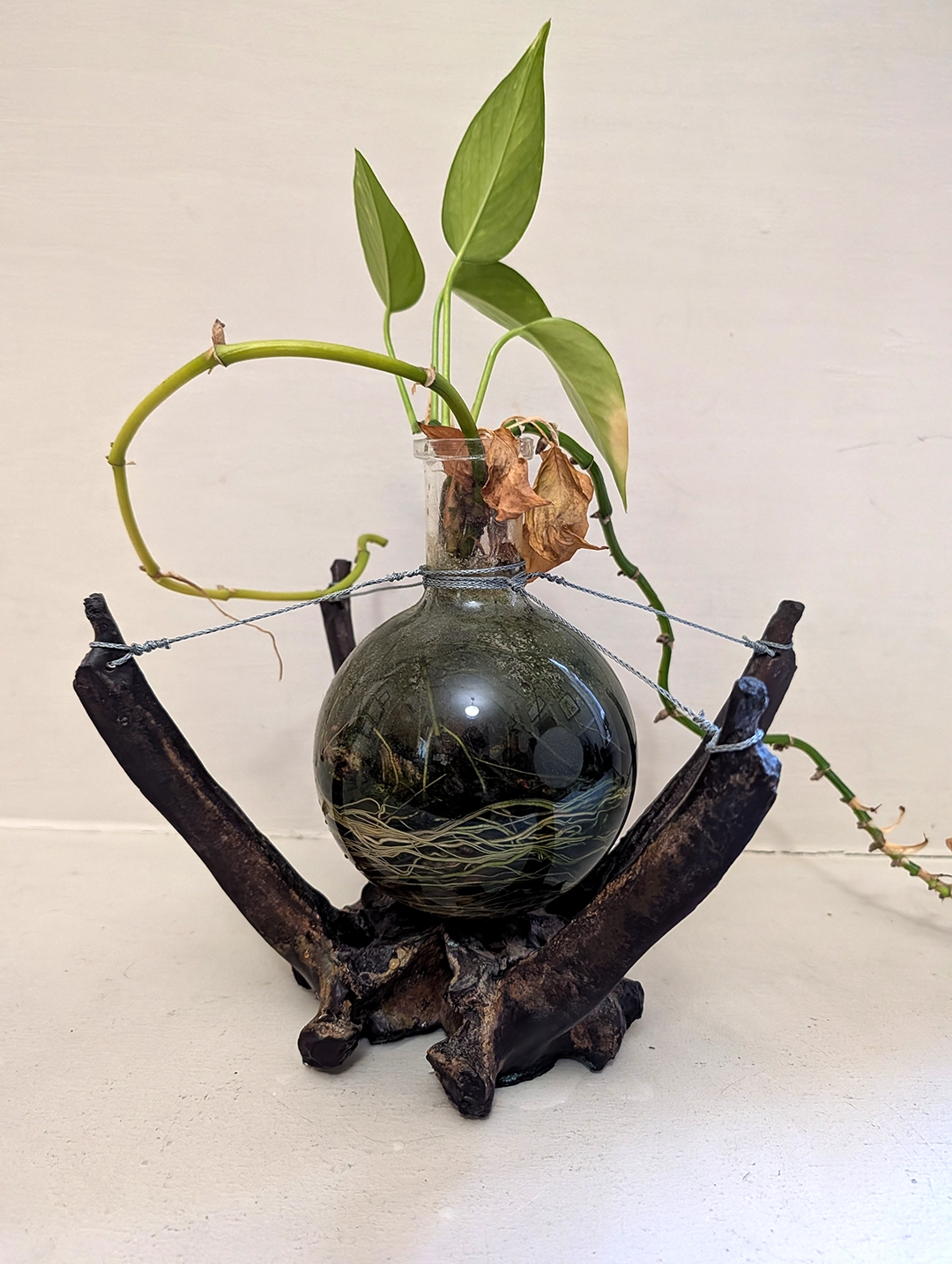 All photographs of individual works, whether documented independently or within the studio context, were taken by the author or supplied directly by the artist for the purposes of this review.