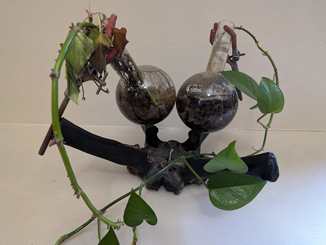 All photographs of individual works, whether documented independently or within the studio context, were taken by the author or supplied directly by the artist for the purposes of this review.