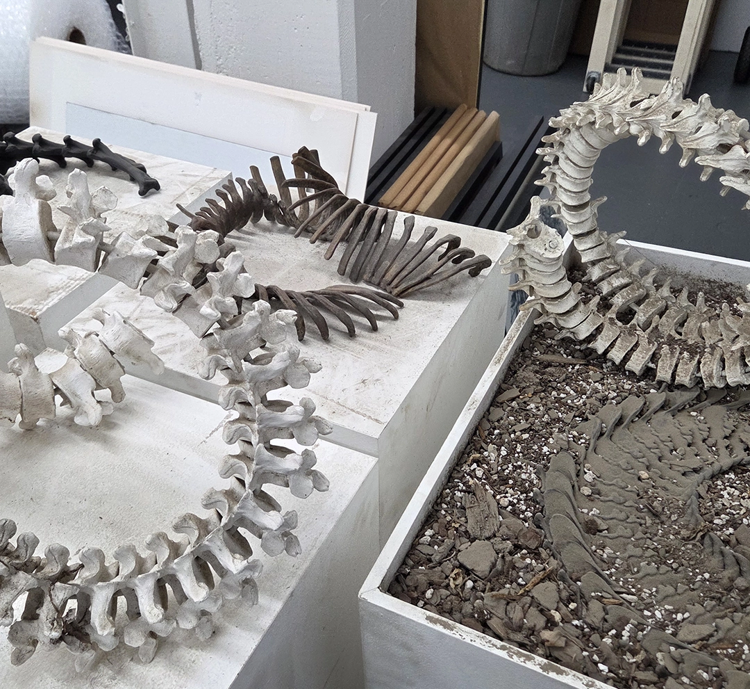 All photographs of individual works, whether documented independently or within the studio context, were taken by the author or supplied directly by the artist for the purposes of this review.