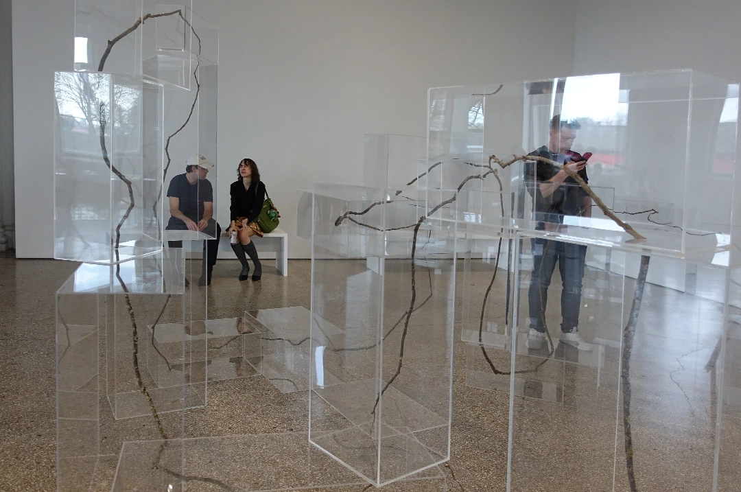 Group exhibition, recently opened at The Carnegie