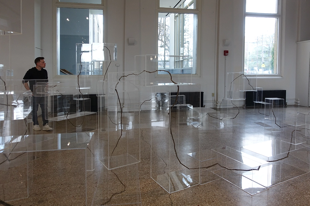 Group exhibition, recently opened at The Carnegie