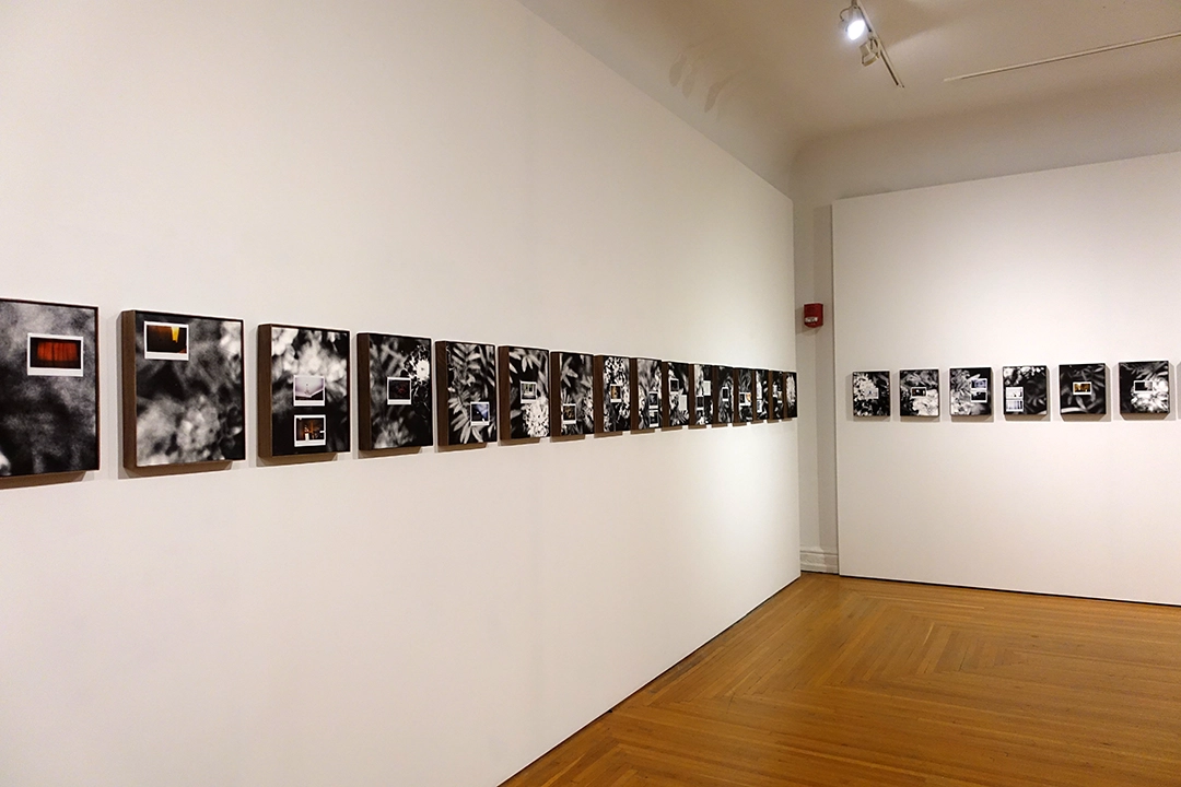 Works on view in The Body Isn't a Battery That Discharges Upon Death, at the Carnegie