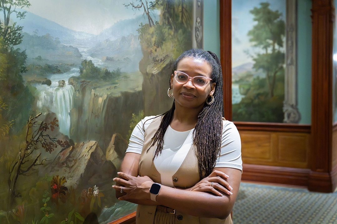 The Persistent Landscape