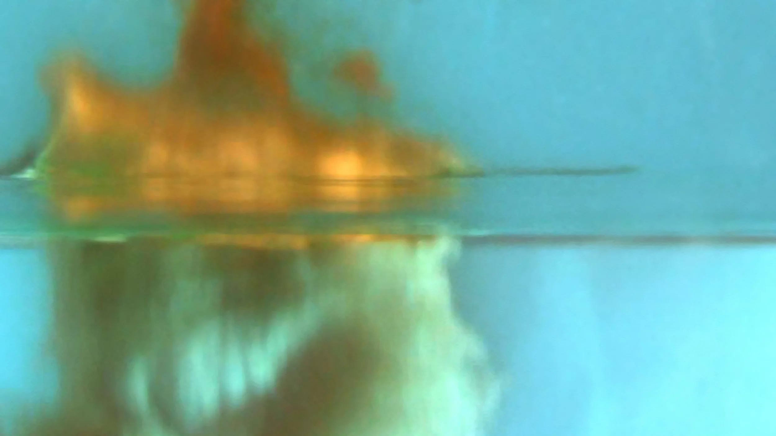 Brad McCombs, Ingest, 2011, single-channel video and archival inkjet print, 29 × 47 in.