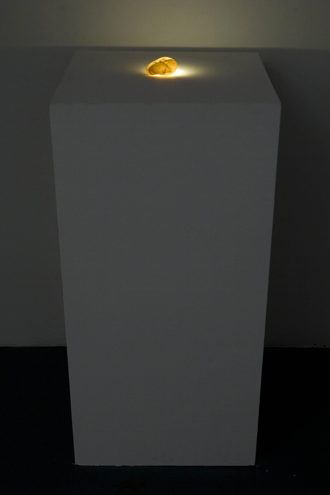 Fossil, 2008, fragmentos de alas de cucarachas sobre piedra traslúcida, luz y pedestal | 36 x 18 x 18 in