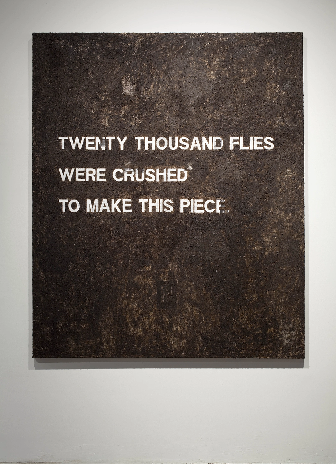 Twenty Thousand Flies Were Crushed to Make This Piece, 2011 Collage, crushed flies on canvas | 60 x 72 in