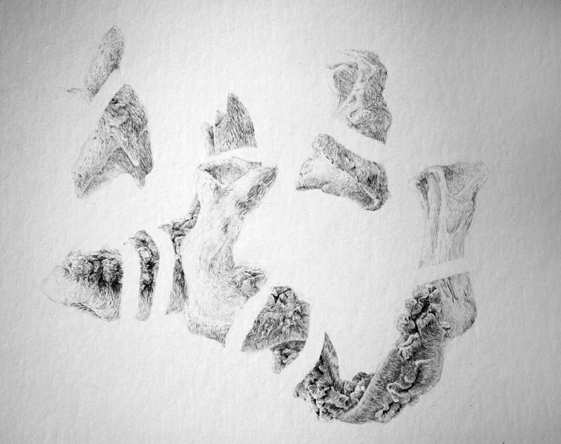 Motives, 2011. Performance and drawings, graphite on paper and wall.