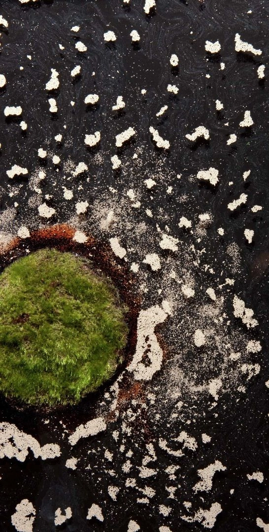 Emily Hanako Momohara, Island 8, 2011.