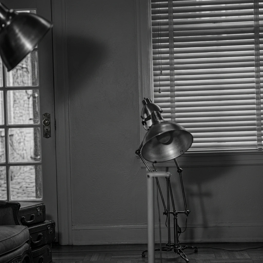 William Wegman, Randy's Sick, 1970-1971, single-channel video with clamp lights.