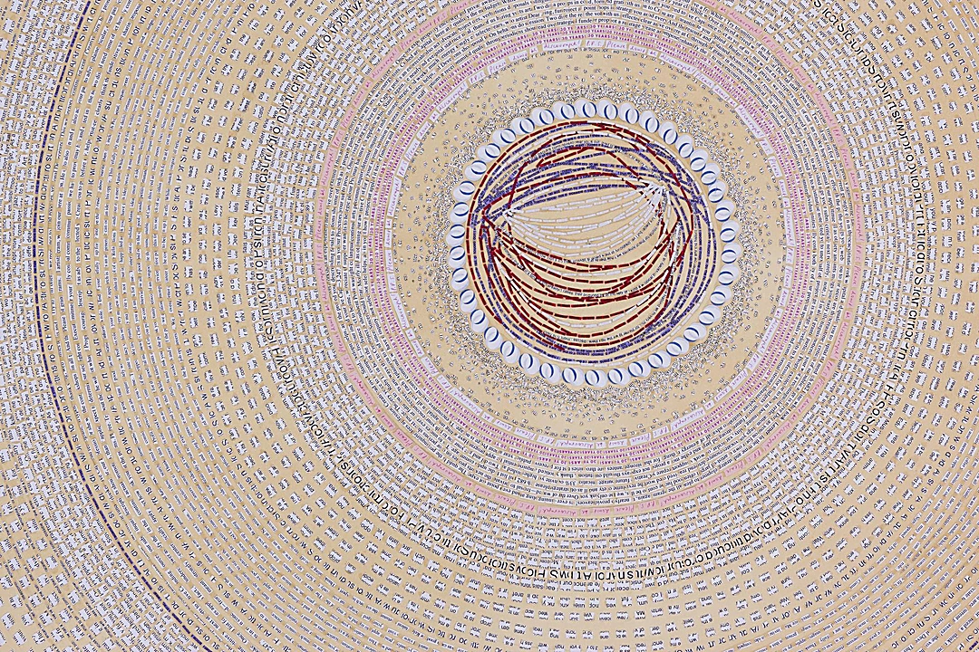 Ambreen Butt, I am the rejection of you, 2011. Detail of concentric text rings formed from shredded rejection letters. Contemporary Arts Center (CAC), Cincinnati.
