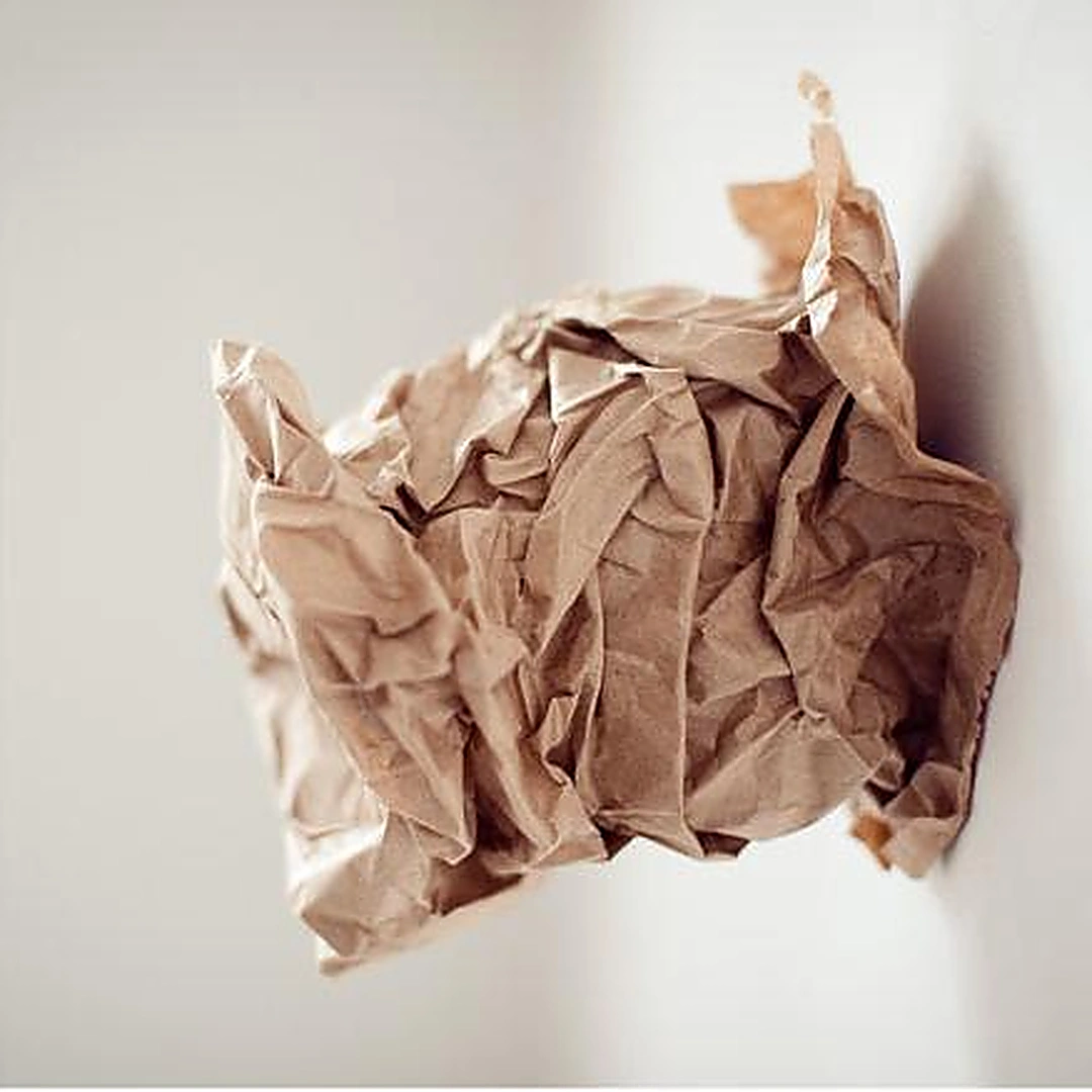 Lisa Walcott, My Pleasure, kinetic paper bag installation detail, 2011.