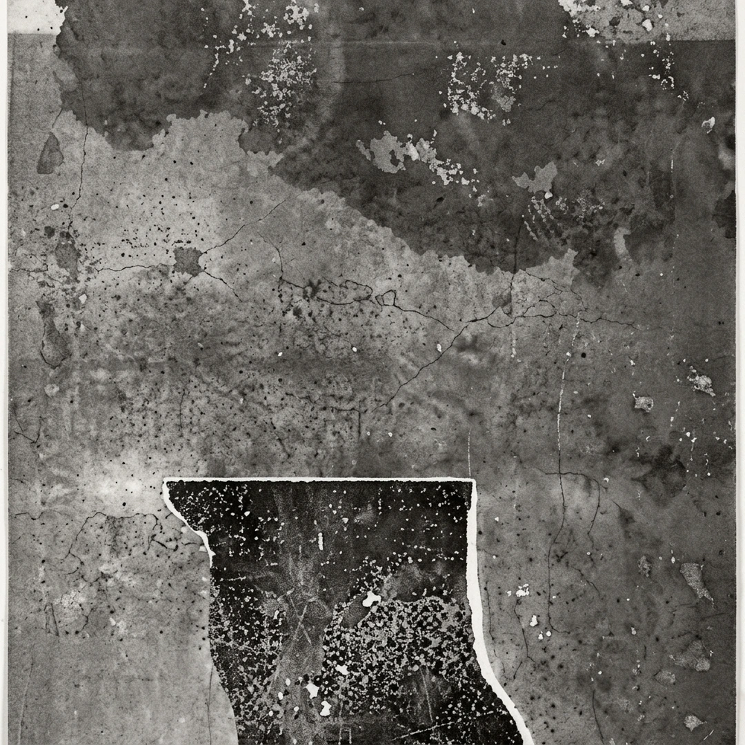 Jim Williams, Hovering. Monoprint.